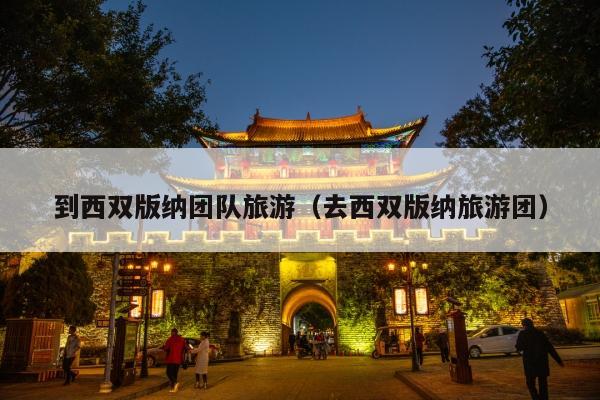 到西双版纳团队旅游（去西双版纳旅游团）