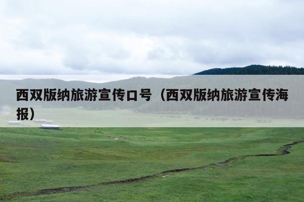 西双版纳旅游宣传口号（西双版纳旅游宣传海报）