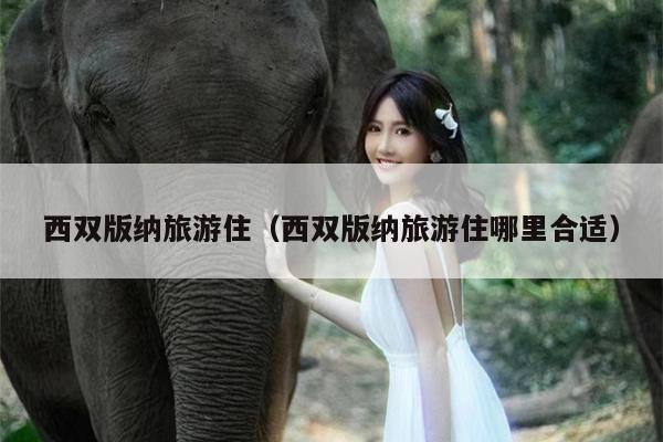 西双版纳旅游住（西双版纳旅游住哪里合适）