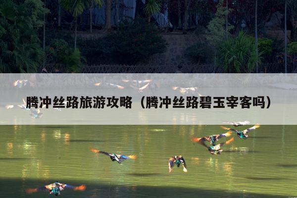 腾冲丝路旅游攻略（腾冲丝路碧玉宰客吗）