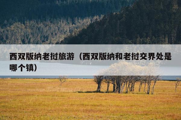 西双版纳老挝旅游（西双版纳和老挝交界处是哪个镇）