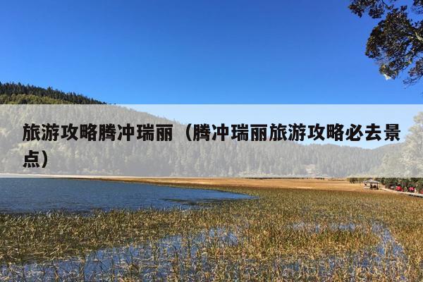 旅游攻略腾冲瑞丽（腾冲瑞丽旅游攻略必去景点）