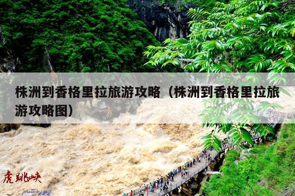 株洲到香格里拉旅游攻略（株洲到香格里拉旅游攻略图）