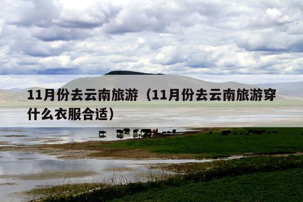 11月份去云南旅游（11月份去云南旅游穿什么衣服合适）