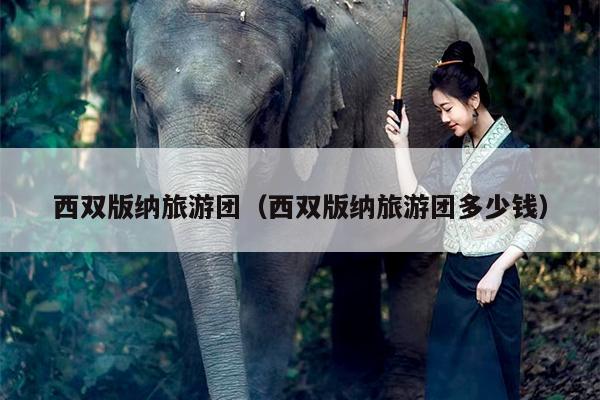 西双版纳旅游团（西双版纳旅游团多少钱）