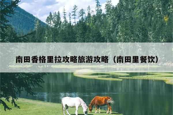 南田香格里拉攻略旅游攻略（南田里餐饮）