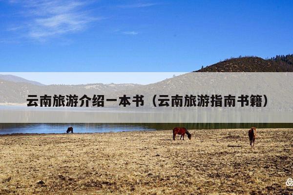 云南旅游介绍一本书（云南旅游指南书籍）