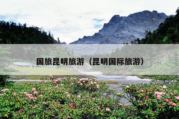 国旅昆明旅游（昆明国际旅游）