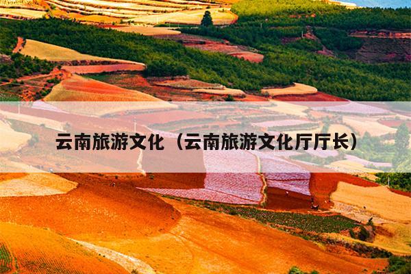 云南旅游文化（云南旅游文化厅厅长）