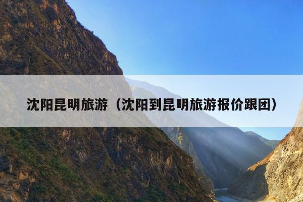 沈阳昆明旅游（沈阳到昆明旅游报价跟团）