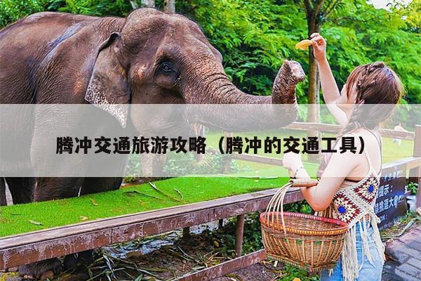 腾冲交通旅游攻略（腾冲的交通工具）