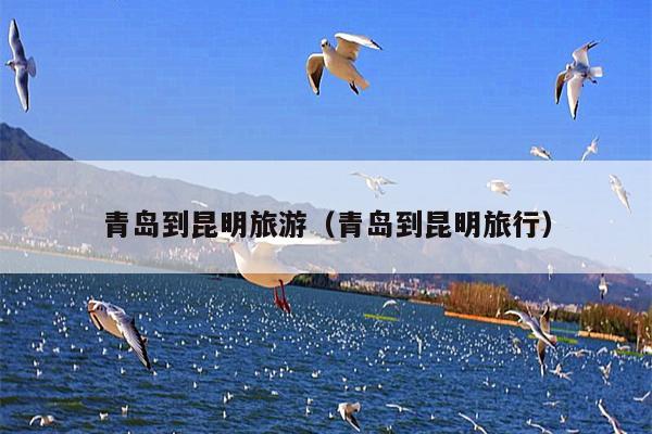 青岛到昆明旅游（青岛到昆明旅行）
