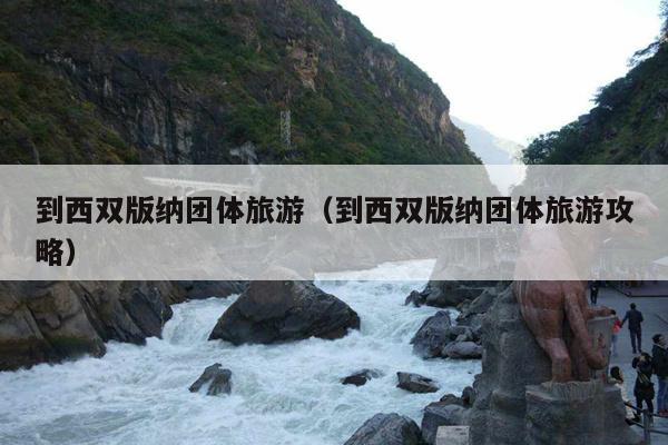 到西双版纳团体旅游（到西双版纳团体旅游攻略）