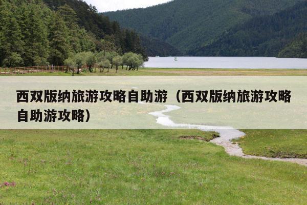 西双版纳旅游攻略自助游（西双版纳旅游攻略自助游攻略）