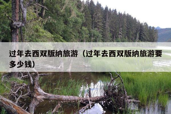 过年去西双版纳旅游（过年去西双版纳旅游要多少钱）