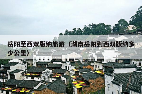 岳阳至西双版纳旅游（湖南岳阳到西双版纳多少公里）