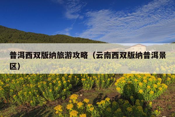 普洱西双版纳旅游攻略（云南西双版纳普洱景区）