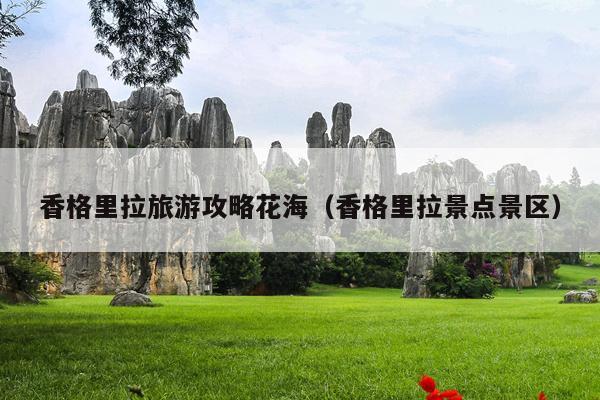 香格里拉旅游攻略花海（香格里拉景点景区）