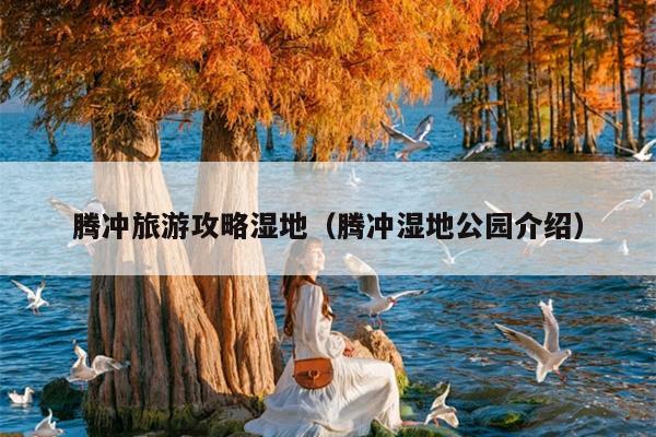 腾冲旅游攻略湿地（腾冲湿地公园介绍）