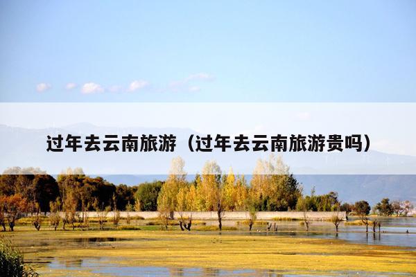 过年去云南旅游（过年去云南旅游贵吗）