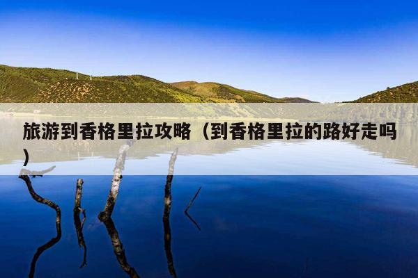 旅游到香格里拉攻略（到香格里拉的路好走吗）