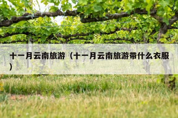 十一月云南旅游（十一月云南旅游带什么衣服）
