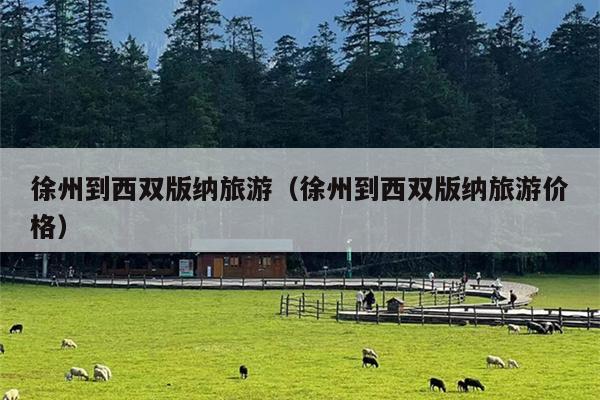 徐州到西双版纳旅游（徐州到西双版纳旅游价格）