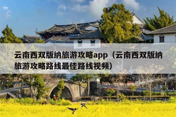 云南西双版纳旅游攻略app（云南西双版纳旅游攻略路线最佳路线视频）