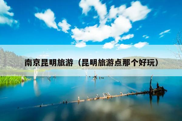 南京昆明旅游（昆明旅游点那个好玩）