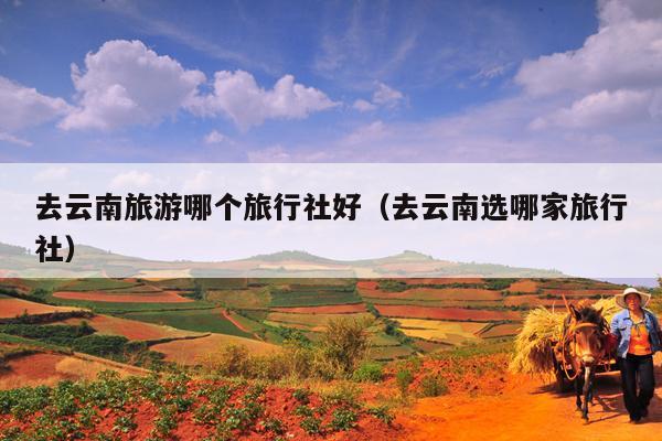 去云南旅游哪个旅行社好（去云南选哪家旅行社）