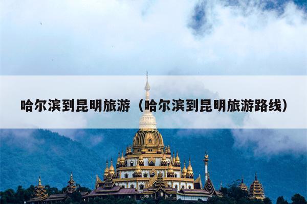 哈尔滨到昆明旅游（哈尔滨到昆明旅游路线）