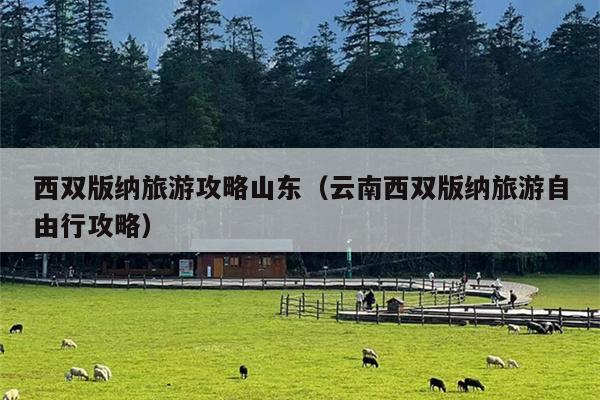 西双版纳旅游攻略山东（云南西双版纳旅游自由行攻略）