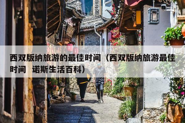西双版纳旅游的最佳时间（西双版纳旅游最佳时间  诺斯生活百科）