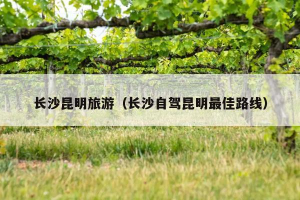 长沙昆明旅游（长沙自驾昆明最佳路线）