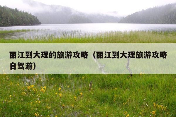 丽江到大理的旅游攻略（丽江到大理旅游攻略自驾游）