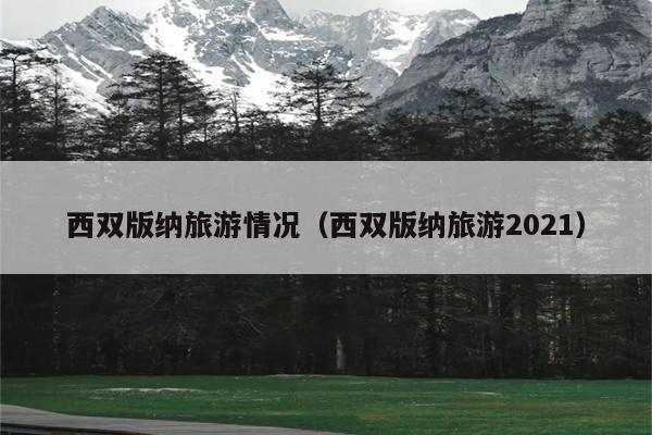 西双版纳旅游情况（西双版纳旅游2021）