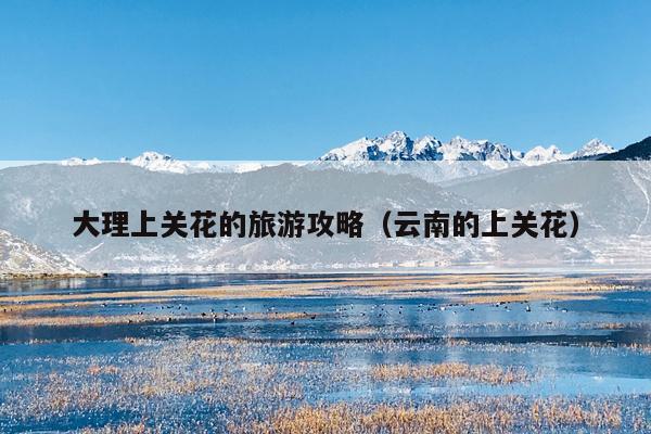 大理上关花的旅游攻略（云南的上关花）