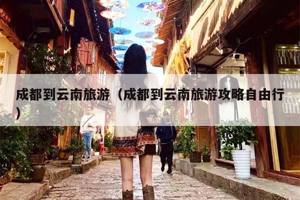 成都到云南旅游（成都到云南旅游攻略自由行）
