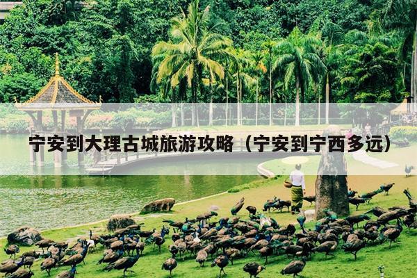 宁安到大理古城旅游攻略（宁安到宁西多远）