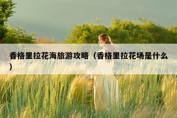 香格里拉花海旅游攻略（香格里拉花场是什么）