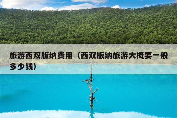 旅游西双版纳费用（西双版纳旅游大概要一般多少钱）