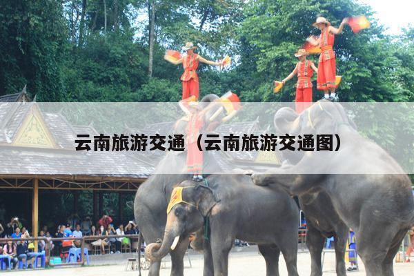 云南旅游交通（云南旅游交通图）