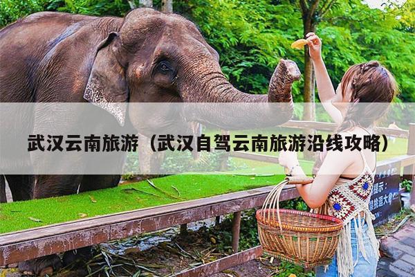 武汉云南旅游（武汉自驾云南旅游沿线攻略）