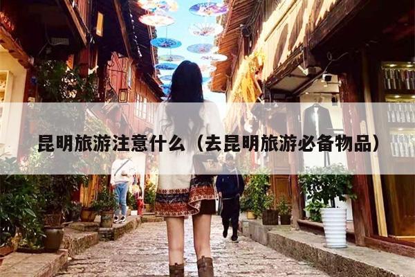 昆明旅游注意什么（去昆明旅游必备物品）