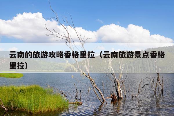 云南的旅游攻略香格里拉（云南旅游景点香格里拉）
