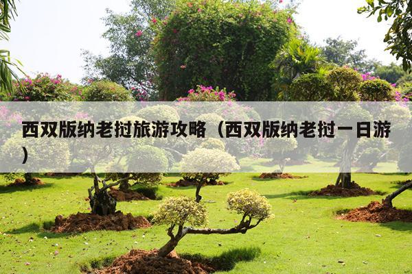 西双版纳老挝旅游攻略（西双版纳老挝一日游）