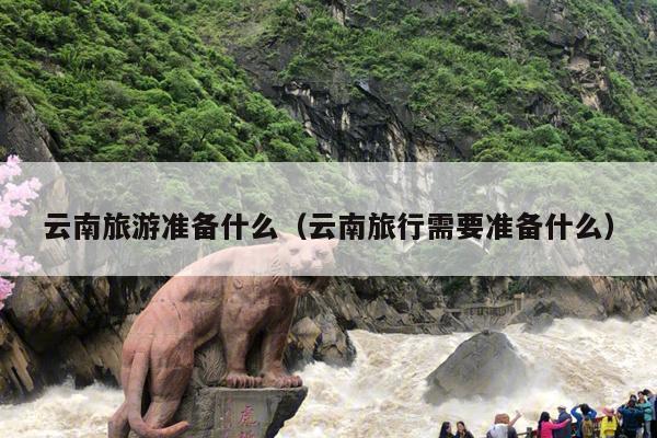 云南旅游准备什么（云南旅行需要准备什么）