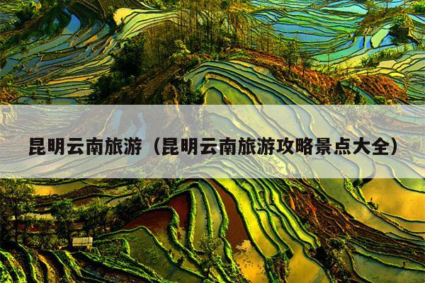 昆明云南旅游（昆明云南旅游攻略景点大全）
