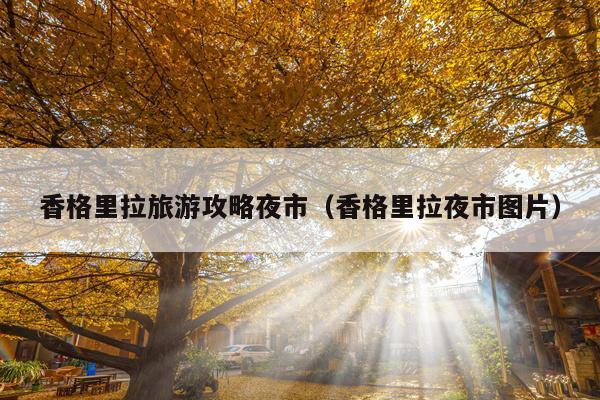 香格里拉旅游攻略夜市（香格里拉夜市图片）