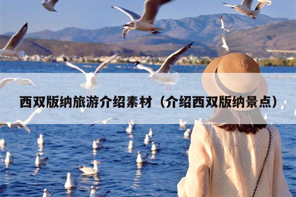 西双版纳旅游介绍素材（介绍西双版纳景点）